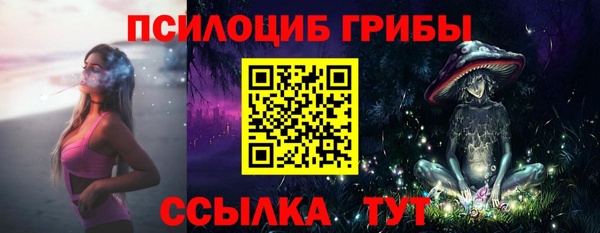 Апатиты  Псилоцибиновые грибы Magic Shrooms  как найти закладки  Псилоцибиновые грибы Cubensis  Вход с VPN 